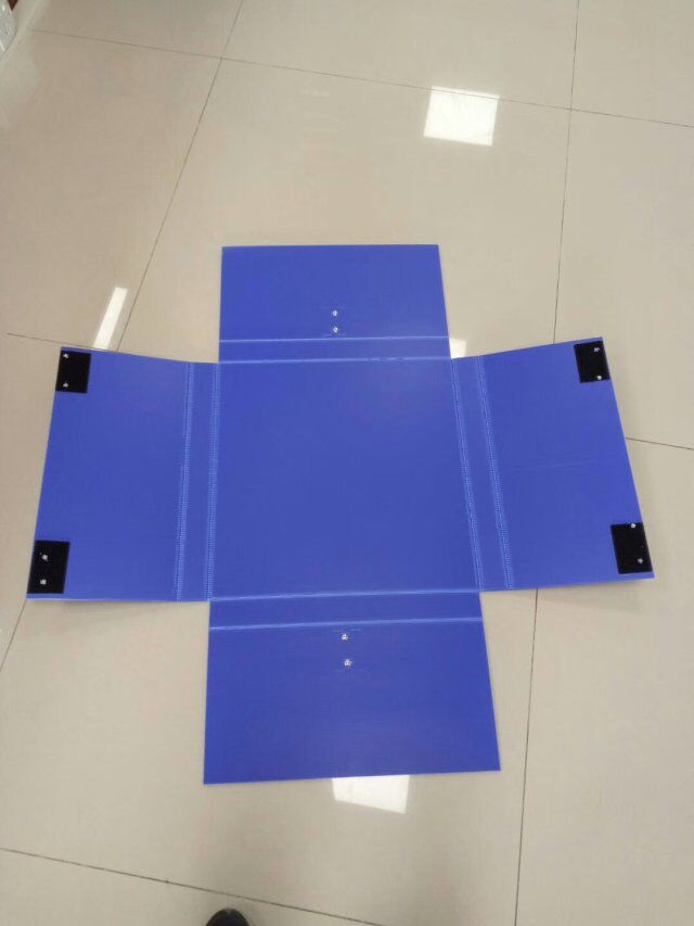 1578465025175269.jpg 10.jpg